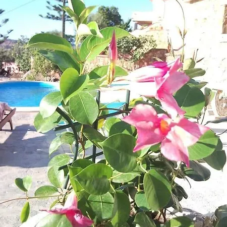 Appartement Sa Domo De Babbu2 *